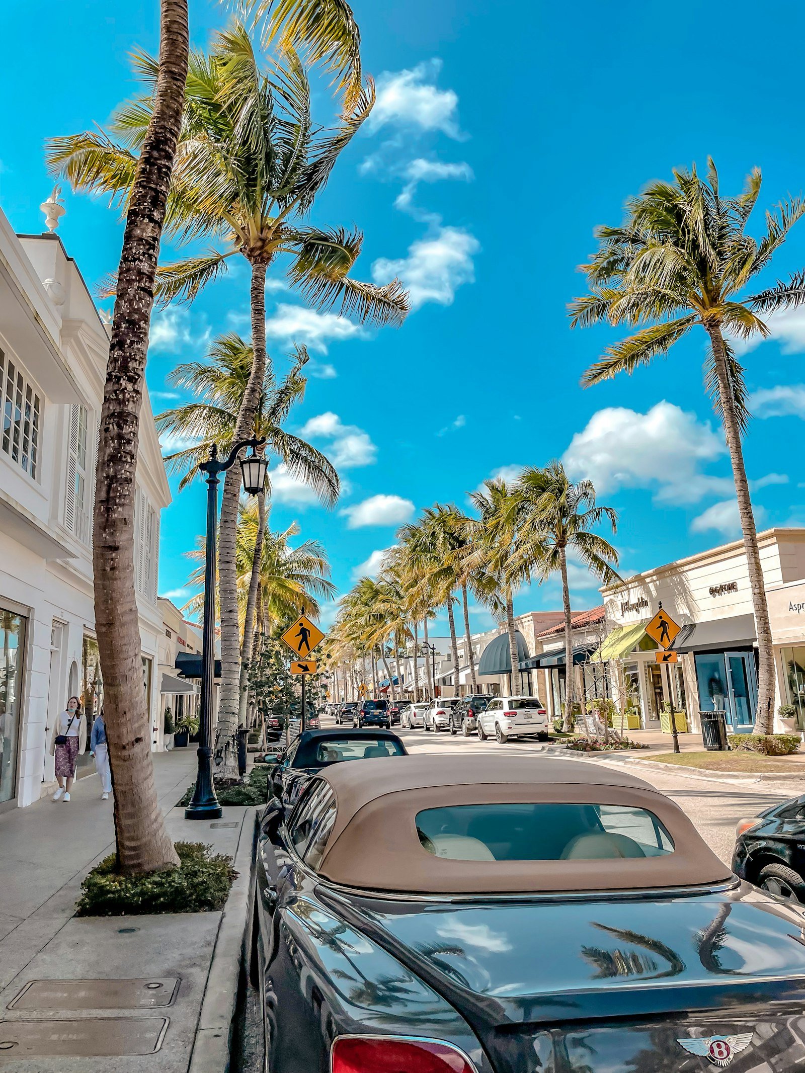 Palm-lined street in South Florida