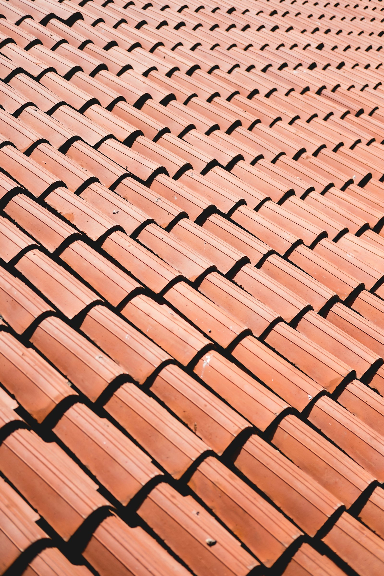 Close-up of a clay tile roof