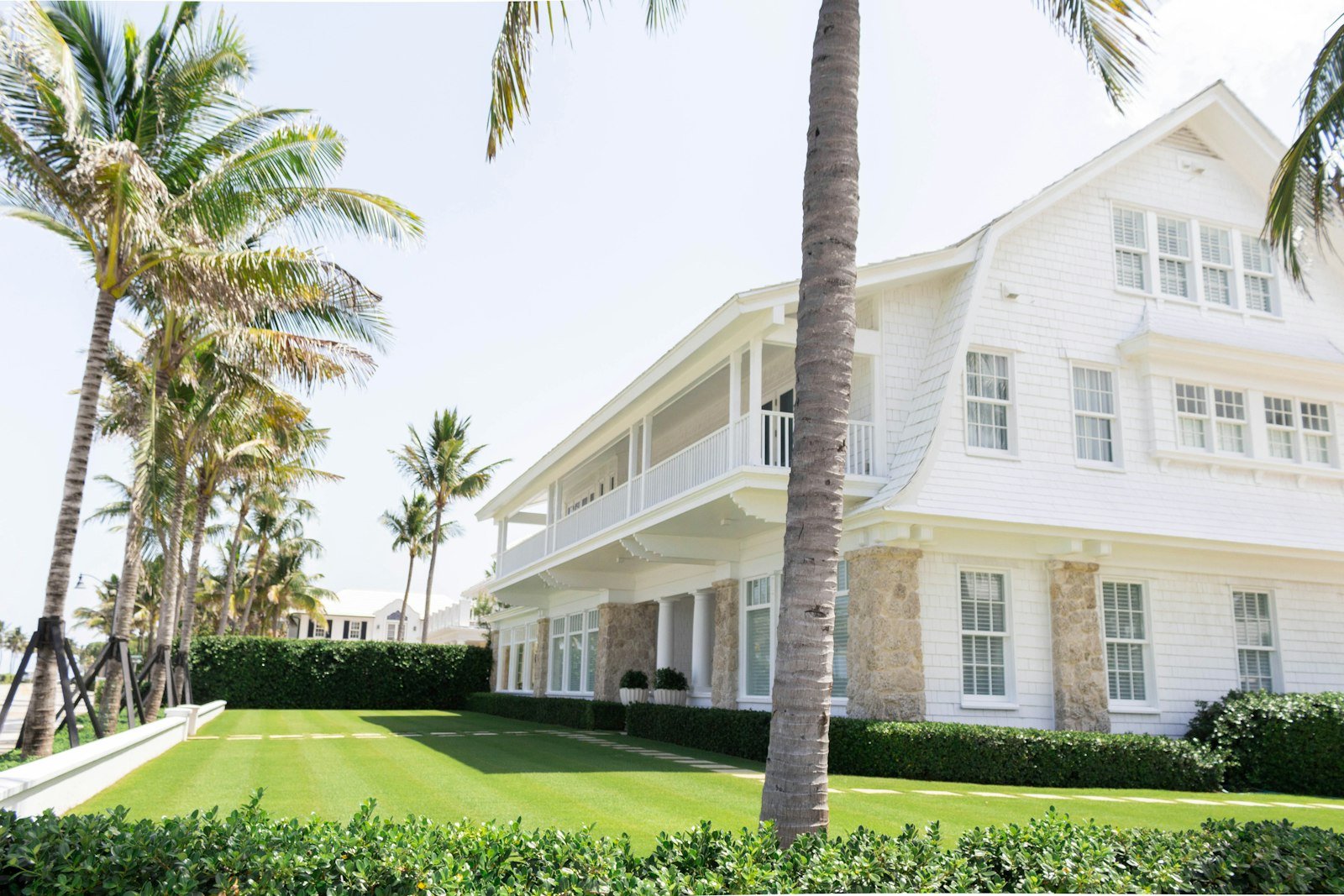 White home with palm trees in the front yard